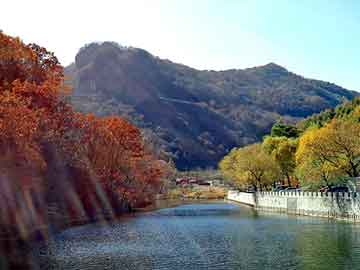 新澳天天开奖资料大全旅游团，龙口旮旯网